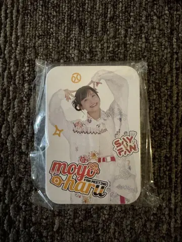 이와타 하루키 캔 케이스 소품함