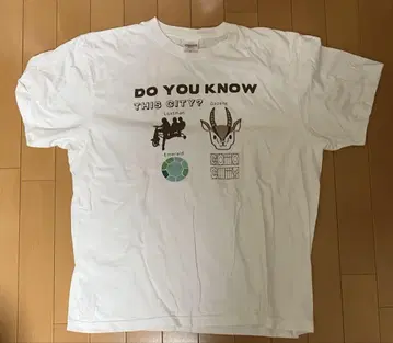 Do you know this city 티셔츠 XL 사이즈
