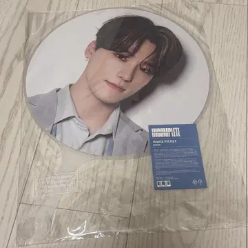 디노 incomplete 부채