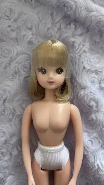 리카짱 프렌드 고베 BASIC 모델 미이짱 V2