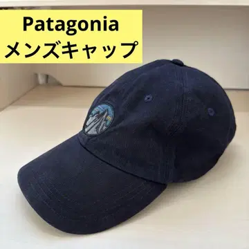 파타고니아 남성용 캡 Patagonia 레어 피츠로이 구제 의류