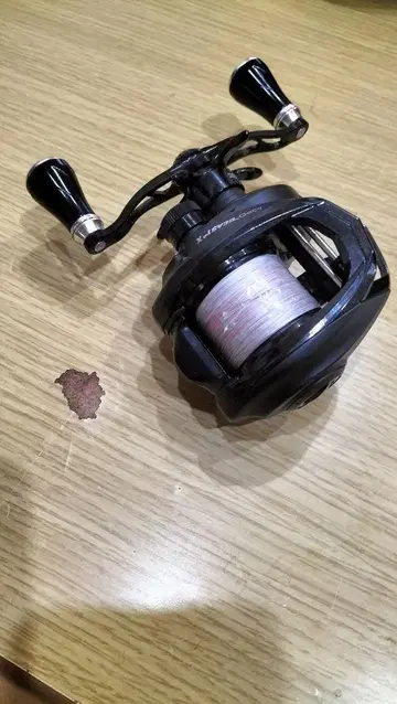 레보 비스트X 아부 가르시아