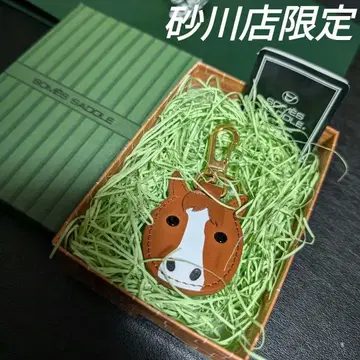 새상품 소메스 사돌 아쉬 골드 멘코 키링