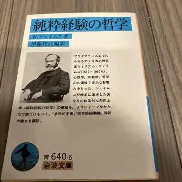 W 윌리엄즈 순수 경험의 철학 이와나미 문고 베르그송 프래그머티즘