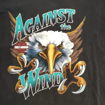 Harley-Davidson Against the Wind 티셔츠
