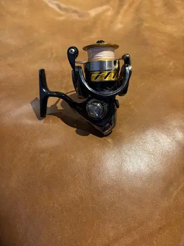 Daiwa 다이와 REVROS 레브로스 2000