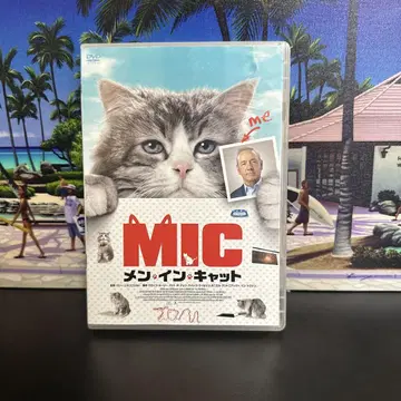 맨 인 캣 ('16 프랑스/중국) DVD