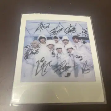 icex 폴라로이드
