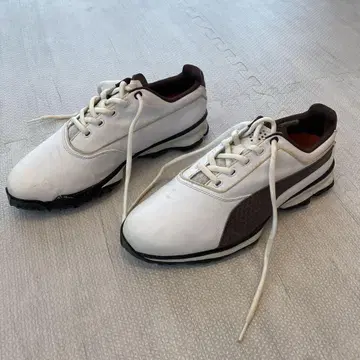 [사용 횟수 적음] 26cm PUMA 골프화 화이트/브라운