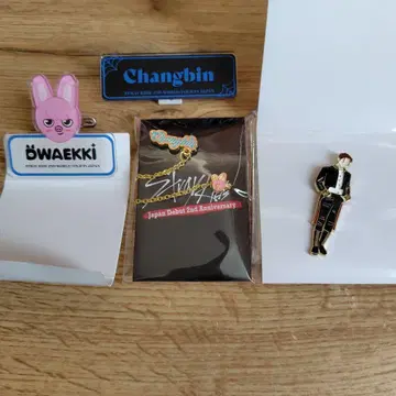 straykids 창빈 체인 핀즈 스키즈 세트 랜덤