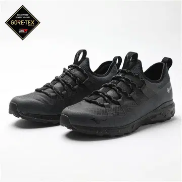 미즈노 웨이브 이보크 GTX 고어텍스