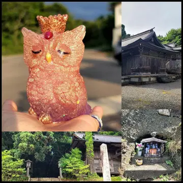 전 순례 인기를 모아 목표 달성 성공의 올빼미 오르가나이트