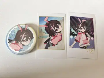 CrazyRaccoon toppy