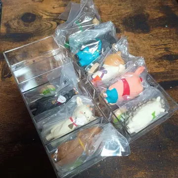 오가와 코우헤이 애니멀 프렌즈