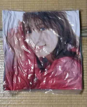 아이다 리카코 쿠션 A