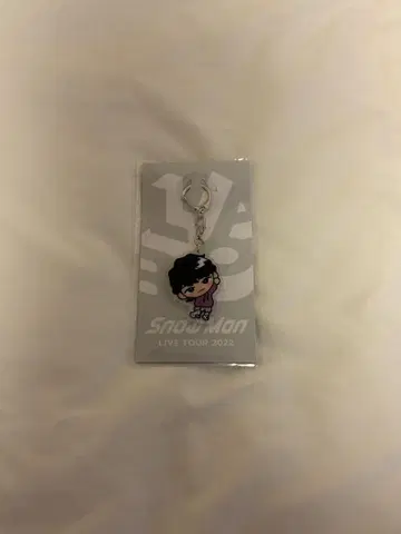 후카사와 타츠야 스노치루 아크릴 키링 스노라보