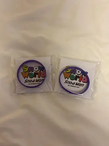 후카사와 타츠야 러버 밴드 SnowWorld