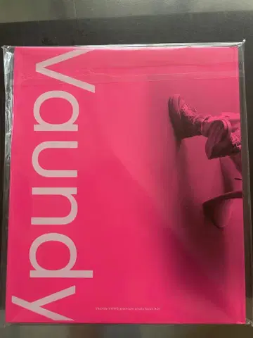 Vaundy 팬클럽 [vaws] 포토북 01
