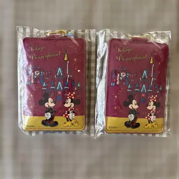 넥스트랩 패스 케이스