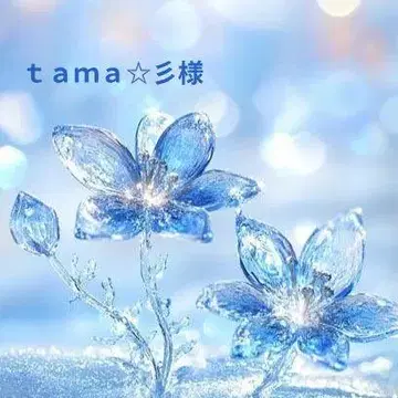 tama 님