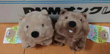 땅딸막한 웜피 마스코트 웜뱃 봉제 인형 2점 세트!
