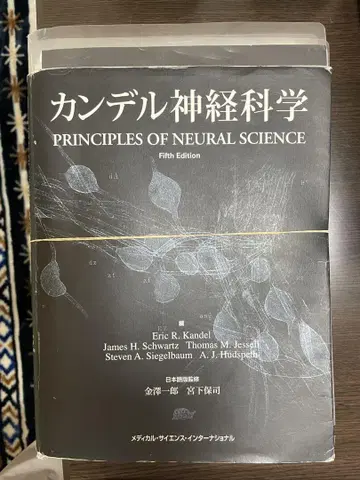 칸델 신경과학