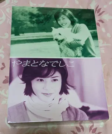 야마토 나데시코 DVD-BOX (6) 미개봉 새상품