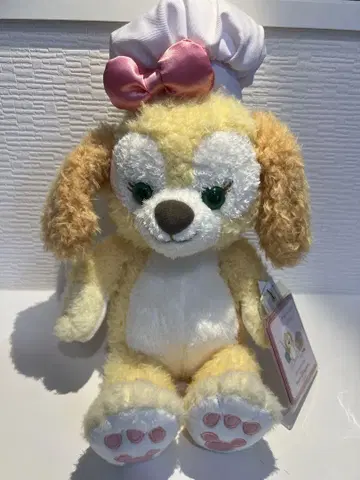쿠키 앤 봉제 인형