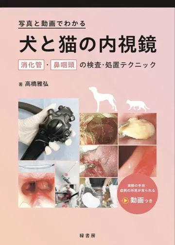 재단 완료 강아지와 고양이의 내시경 수의사