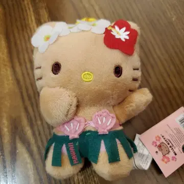 하와이 한정 태닝 키티 택 포함 새상품 ABC 정품