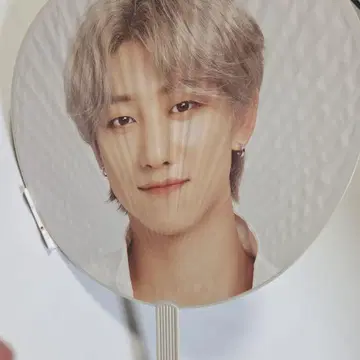 SEVENTEEN THE 8 부채