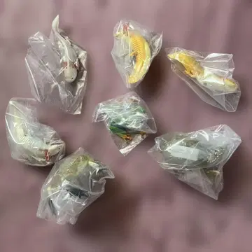 우파루파와 벨노개구리와 아카메청개구리와 말눈타피오카개구리