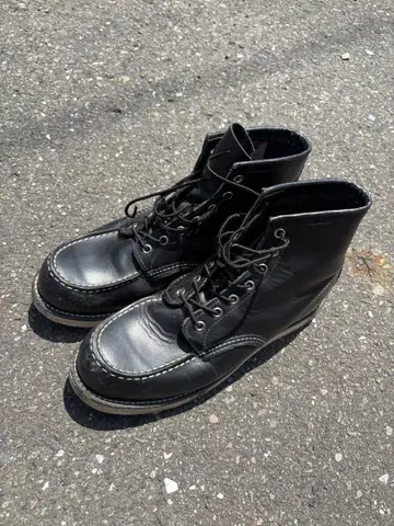 Redwing 아이리쉬 세터 6인치 클래식 목 블랙 개 택