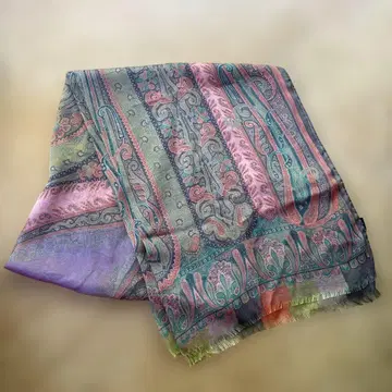 ETRO 페이즐리 무늬 스톨 (숄)