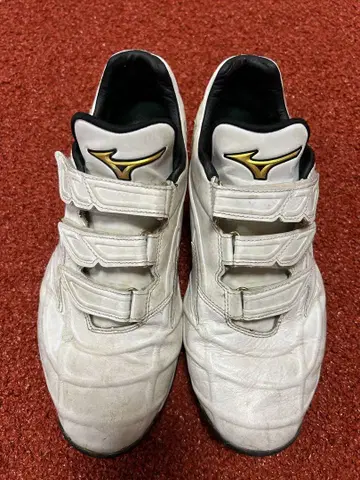 Mizuno [27 cm] 트레이닝 슈즈
