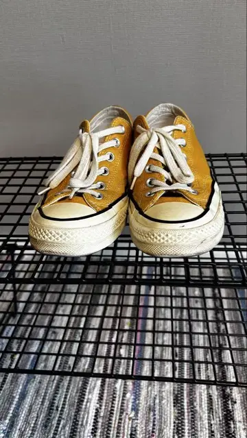 CONVERSE chack taylor ct70 25cm 썬플라워