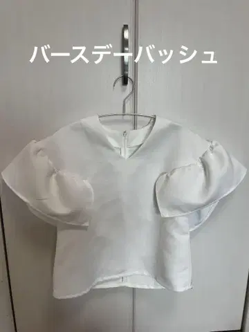 벌스데이 바쉬 클리오네 상의