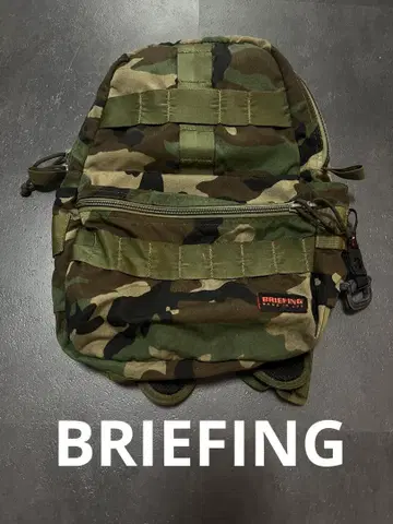 BRIEFING FLIGHT LIGHT SAC