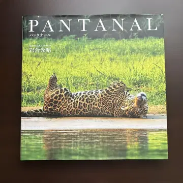 PANTANAL 판타나우 이와고 미츠아키