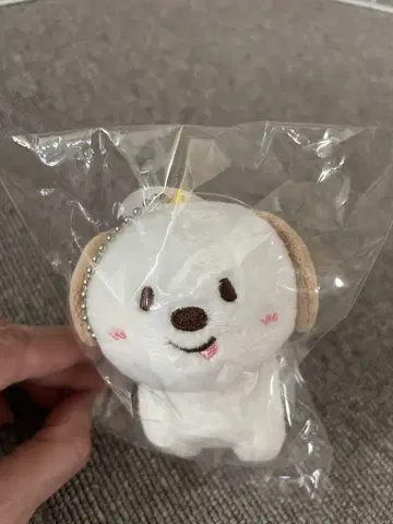 RIIZE 앤톤 키링 봉제 인형