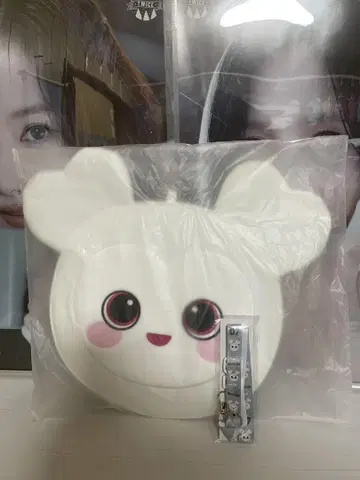 TWICE 부채 커버 다현 다블리