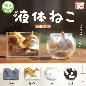 액체 고양이 총 4종 컴플리트