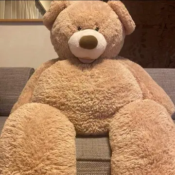 곰 봉제 인형 코스트코 빅