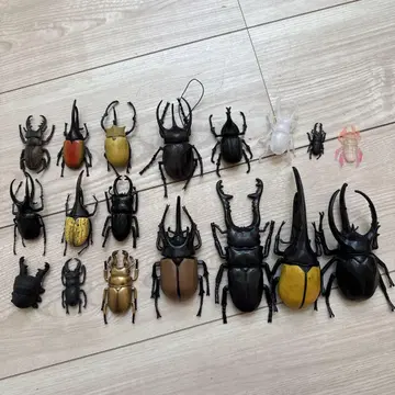 가부토 사슴벌레 완구