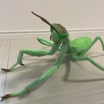 사마귀 피규어 녹색