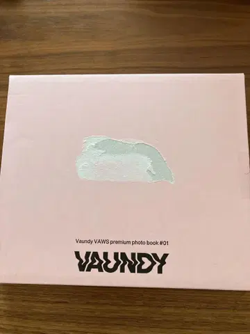 Vaundy VAWS premium photo book #01