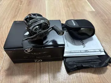 Daiwa STEEZ SV TW 100XHL