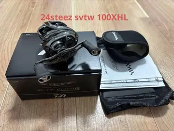 Daiwa 24 STEEZ SV TW 100XHL