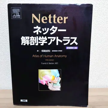 네터 해부학 아틀라스