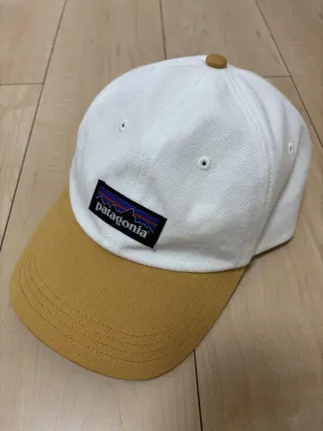 Patagonia P-6 Label Trad Cap